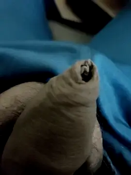 Snapshot of Ashish02345 chatting on January 2025 08:58:01 PM Ashish02345 online show from January 2025 08:58:01 PM