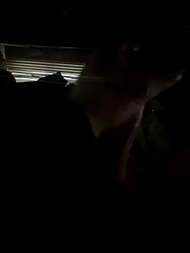 Snapshot of dickemdowncharleybrown chatting on December 2025 03:51:02 PM dickemdowncharleybrown online show from December 2025 03:51:02 PM