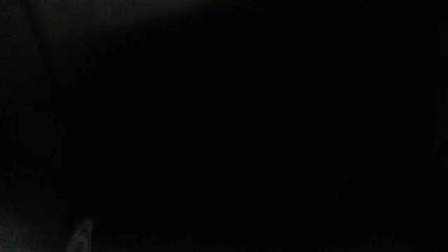 Snapshot of perversalus chatting on December 2024 04:34:01 AM perversalus online show from December 2024 04:34:01 AM