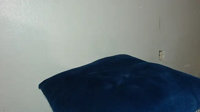 Dogz n daugthers online show from December 2024 05:14:02 AM