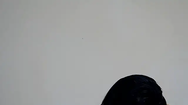 GiseleReine online show from February 2025 02:04:01 PM