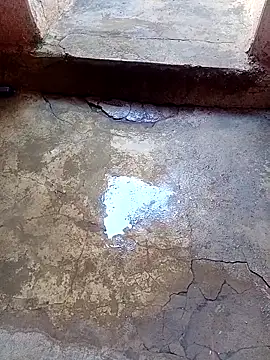 Snapshot of rau_4455 chatting on November 2025 09:31:02 AM rau 4455 online show from November 2025 09:31:02 AM