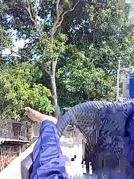 ErRakesh1 online show from November 2025 05:28:02 AM