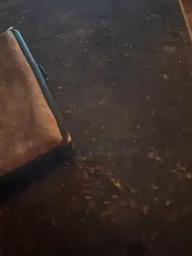 Snapshot of FreshWonder0 chatting on November 2025 05:19:01 PM FreshWonder0 online show from November 2025 05:19:01 PM