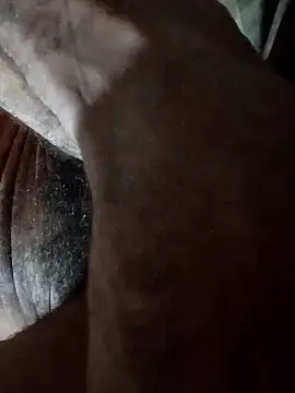 Snapshot of carlos40404 chatting on October 2025 04:03:02 AM carlos40404 online show from October 2025 04:03:02 AM