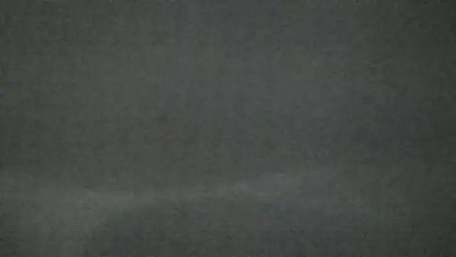 Snapshot of canela_wet chatting on February 2025 12:25:02 PM canela wet online show from February 2025 12:25:02 PM