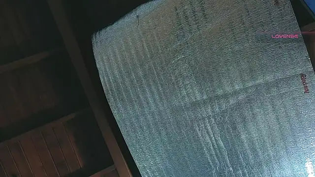 SilvaBranko online show from April 2026 01:11:02 AM