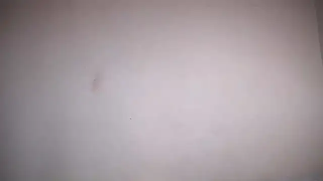 Snapshot of Osiiriis chatting on February 2025 01:06:01 PM Osiiriis online show from February 2025 01:06:01 PM