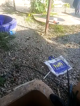 CuchiCuchi online show from September 2025 09:04:02 PM