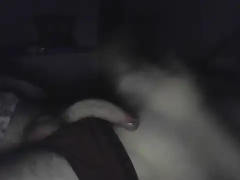 Snapshot of andrew9750 chatting on November 2025 11:07:02 PM andrew9750 online show from November 2025 11:07:02 PM