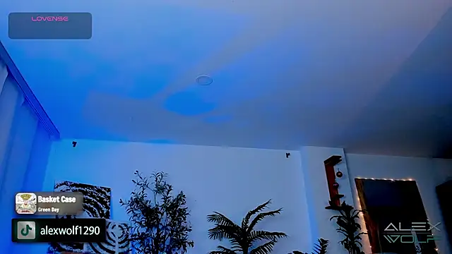 alex wolf  online show from January 2025 05:21:02 AM