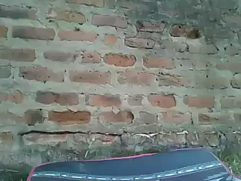 Javan  online show from January 2025 12:35:01 PM