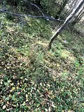 Snapshot of Sirina80 chatting on October 2025 11:55:01 AM Sirina80 online show from October 2025 11:55:01 AM