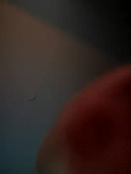 Snapshot of lolabun247 chatting on November 2025 10:50:02 AM lolabun247 online show from November 2025 10:50:02 AM