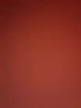 Snapshot of kikkastar chatting on December 2024 10:59:01 PM kikkastar online show from December 2024 10:59:01 PM