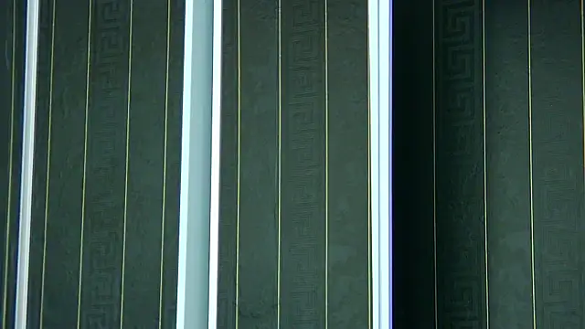 SophiaVilner online show from April 2026 06:52:01 PM