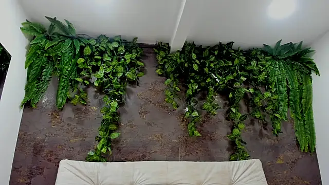 alice greco online show from January 2026 06:55:02 PM