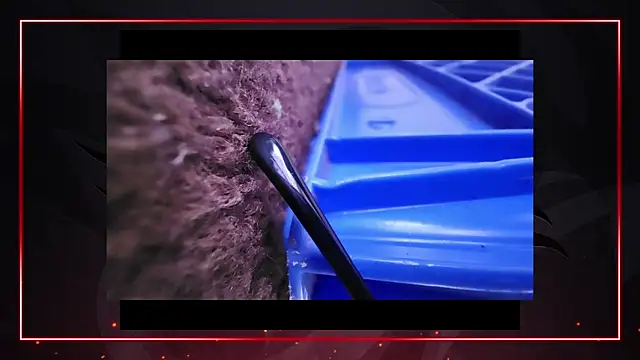 Snapshot of AriellaTaylor chatting on December 2024 04:42:01 PM AriellaTaylor online show from December 2024 04:42:01 PM