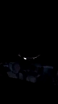 Snapshot of AriellaTaylor chatting on December 2025 12:32:01 PM AriellaTaylor online show from December 2025 12:32:01 PM