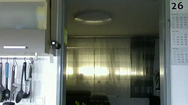 pimmelmann3 online show from April 2026 12:29:02 PM
