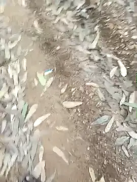 Snapshot of indiasexmf chatting on December 2025 09:58:02 AM indiasexmf online show from December 2025 09:58:02 AM