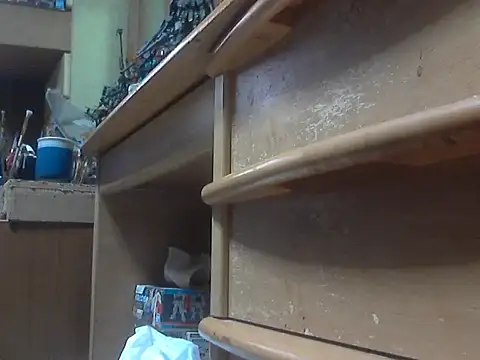 Snapshot of shikokichi55 chatting on February 2025 05:37:01 AM shikokichi55 online show from February 2025 05:37:01 AM