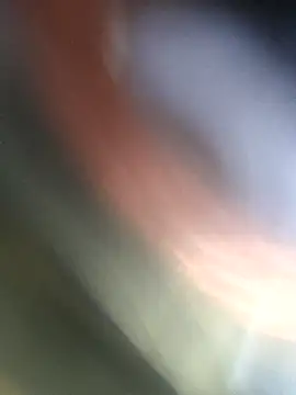 Snapshot of jasss-11 chatting on November 2025 05:23:01 PM jasss-11 online show from November 2025 05:23:01 PM