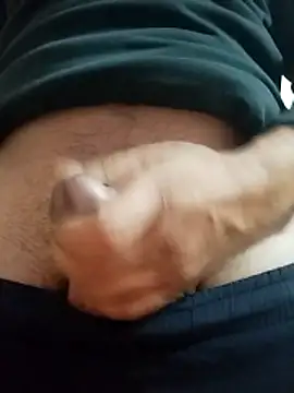 Snapshot of IndianSpark chatting on December 2025 04:40:01 AM IndianSpark online show from December 2025 04:40:01 AM