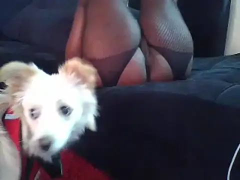 KikiLovesD online show from December 2024 02:07:01 PM