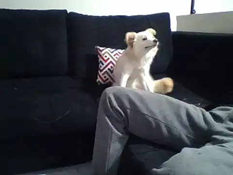 Snapshot of KikiLovesD chatting on December 2024 08:34:02 PM KikiLovesD online show from December 2024 08:34:02 PM