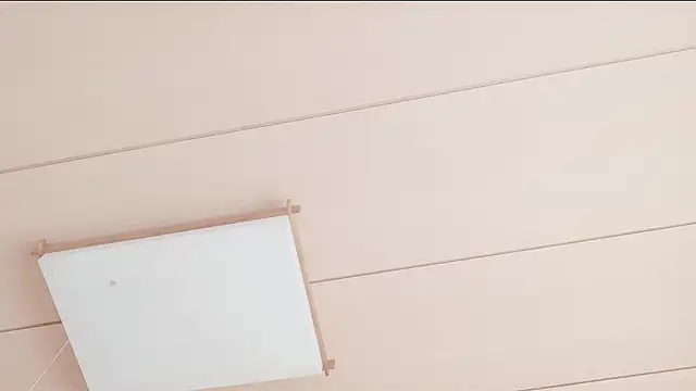 xxArisaxx online show from December 2025 06:08:02 AM