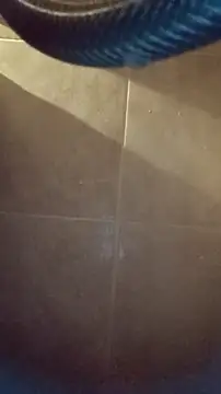 whitetrashdirtyslut online show from December 2025 03:16:02 AM