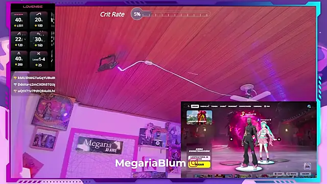 Snapshot of MegariaB chatting on February 2025 07:54:02 AM MegariaB online show from February 2025 07:54:02 AM