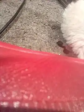 Snapshot of lubme chatting on October 2025 08:00:02 AM lubme online show from October 2025 08:00:02 AM