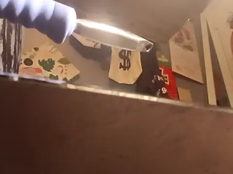 Snapshot of lubme chatting on November 2025 12:05:02 PM lubme online show from November 2025 12:05:02 PM