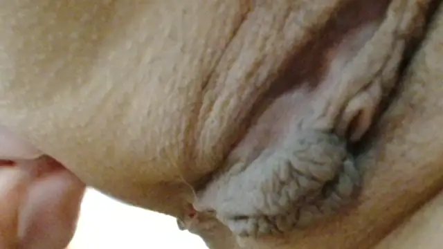 sonyx online show from March 2026 05:40:01 PM