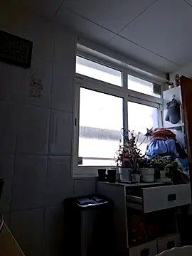 Snapshot of Javier_bear chatting on November 2025 10:14:02 AM Javier bear online show from November 2025 10:14:02 AM