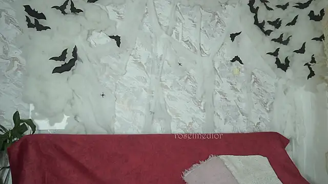 Snapshot of roselinedior chatting on October 2025 01:14:01 PM roselinedior online show from October 2025 01:14:01 PM