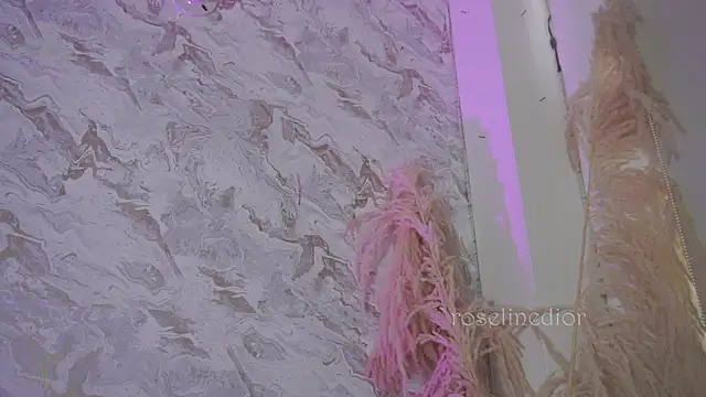 Snapshot of roselinedior chatting on December 2025 01:17:04 PM roselinedior online show from December 2025 01:17:04 PM