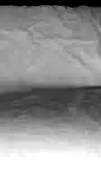 Snapshot of BigAssKi chatting on February 2025 03:06:01 PM BigAssKi online show from February 2025 03:06:01 PM