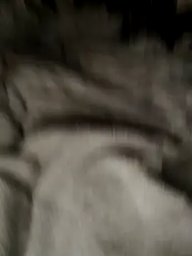 Snapshot of Tigerhill2023 chatting on October 2025 09:13:01 AM Tigerhill2023 online show from October 2025 09:13:01 AM