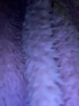 Snapshot of TrenaAnne chatting on March 2025 04:28:02 AM TrenaAnne online show from March 2025 04:28:02 AM