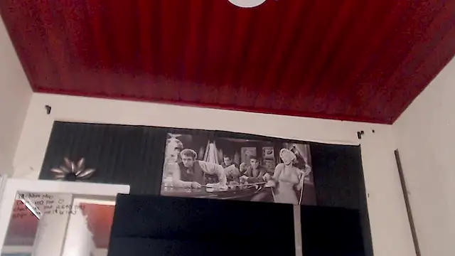 Snapshot of Demyraii chatting on February 2025 01:44:01 PM Demyraii online show from February 2025 01:44:01 PM