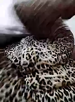 Snapshot of nayakaA7 chatting on February 2025 06:59:01 PM nayakaA7 online show from February 2025 06:59:01 PM