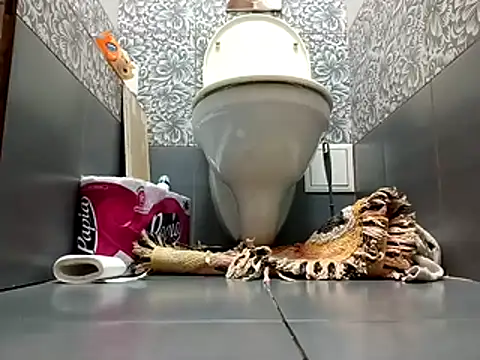 Snapshot of zsd_off chatting on November 2025 12:27:02 PM zsd off online show from November 2025 12:27:02 PM