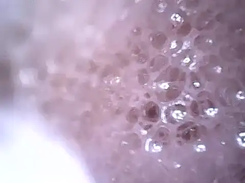 Snapshot of Beijing2000 chatting on December 2024 02:45:02 AM Beijing2000 online show from December 2024 02:45:02 AM