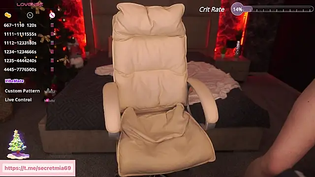 Snapshot of SecretDesireMe chatting on December 2024 05:19:02 PM SecretDesireMe online show from December 2024 05:19:02 PM