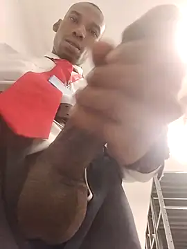 moro28vergon online show from February 2026 04:16:02 AM