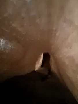 Shivaa- online show from March 2026 08:19:01 AM