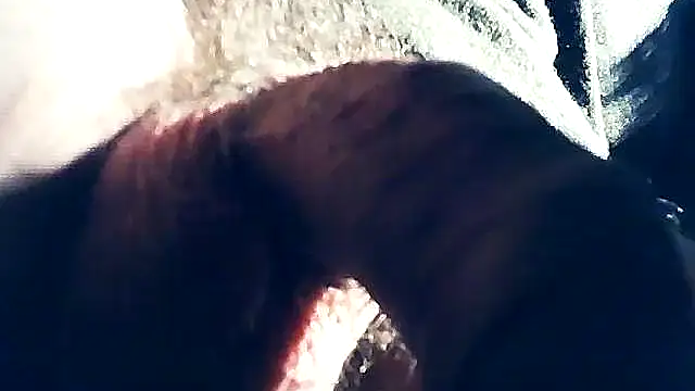 Snapshot of wedge75 chatting on February 2025 10:29:02 PM wedge75 online show from February 2025 10:29:02 PM